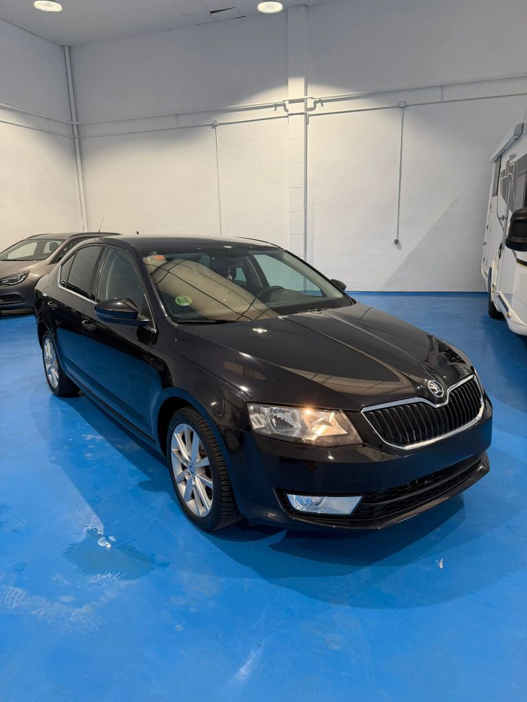 WhatsApp Image 2026 03 19 at 18.06.32 4