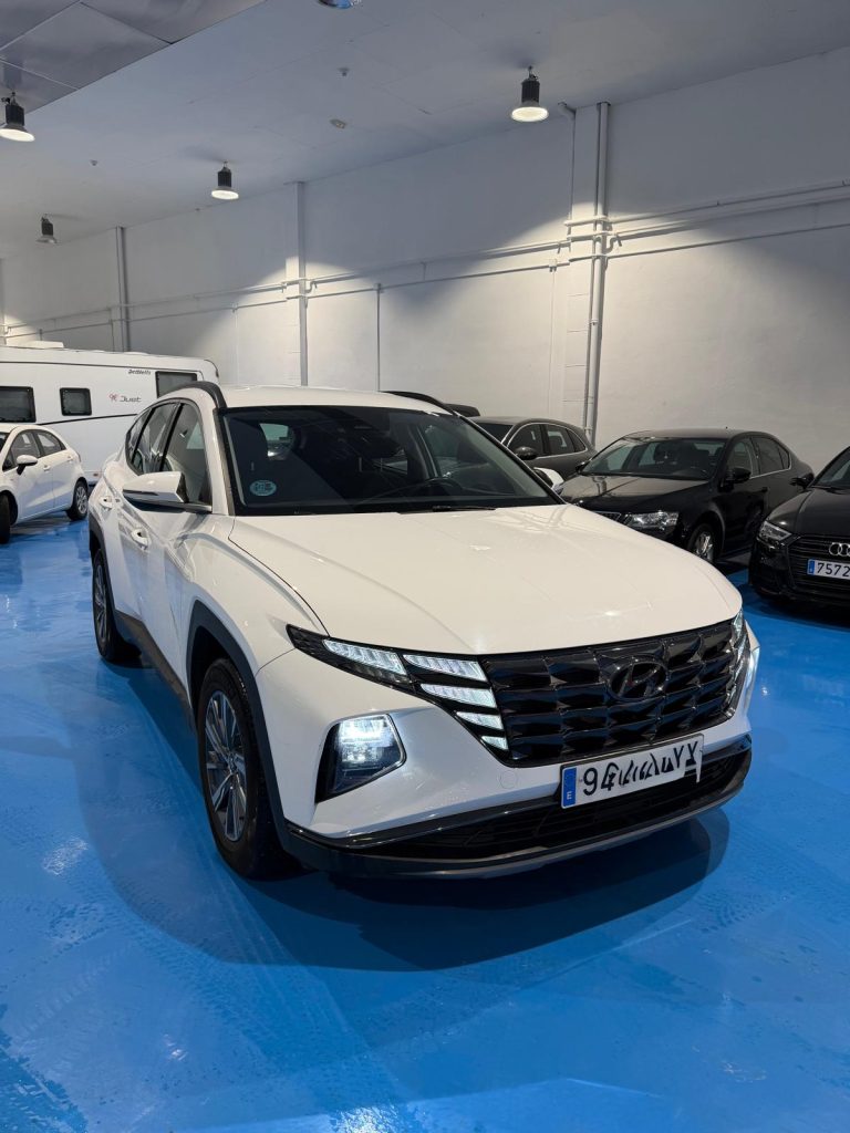 WhatsApp Image 2026 04 02 at 18.25.04 6